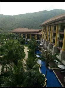 杭州蓝色钱江放火案最新爆料,揭秘悲剧背后的惊人真相  第1张