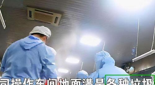 配餐爆料视频下载,视频爆料带你探秘后厨操作  第1张