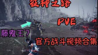 pve征神之路最新爆料,神秘爆料揭示全新冒险篇章  第3张