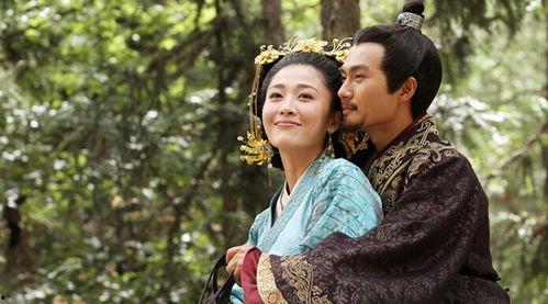 卫子夫直播在线观看,穿越时空，共赏古代传奇  第2张