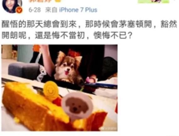 向太最新爆料动态,揭秘娱乐圈惊人内幕  第2张